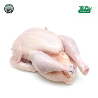 Picture of Fresh Whole Chicken (Singapore)