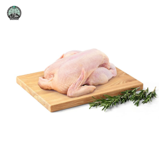 Picture of Fresh Whole Chicken (Singapore)