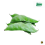Picture of Fresh Broad Beans (India)