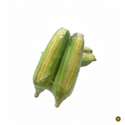 Picture of Fresh Sweet Corns