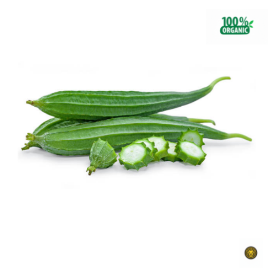 Picture of Fresh Ridge Gourd (Torai/Angled Loofah)