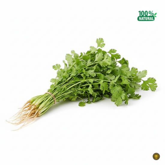 Picture of Fresh Coriander Leaves
