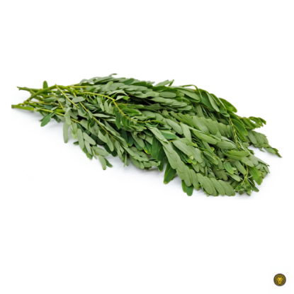 Picture of Fresh Agathi Leaves (Turi)
