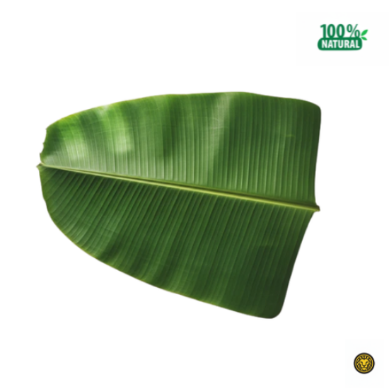Picture of Fresh Banana Leaf For Pooja (Thalai Vazhai Ilai)
