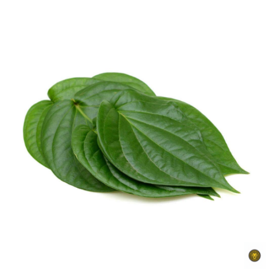 Picture of Fresh Betel Leaves For Pooja