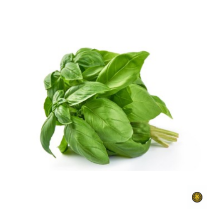 Picture of Fresh Herbs Basil