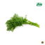 Picture of Fresh Herbs Dill Leaves