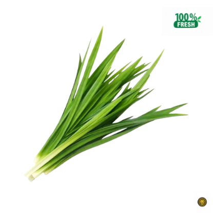 Picture of Fresh Pandan Leaves