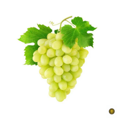 Picture of Fresh Green Grapes (seedless)
