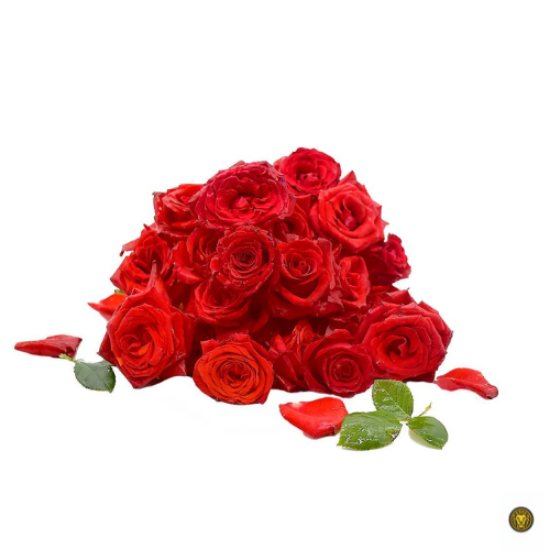 Picture of Fresh Red Rose Pooja Flower