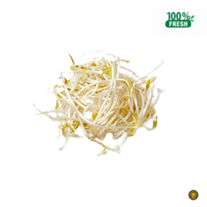 Picture of Fresh Bean Sprouts