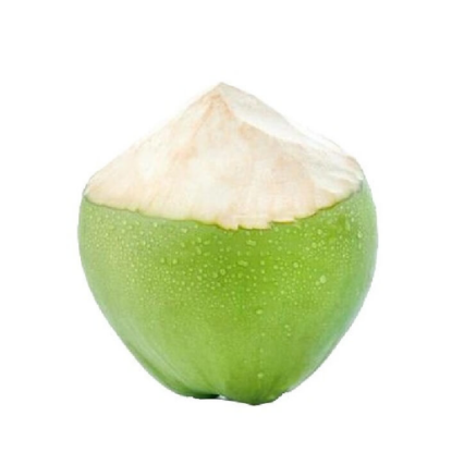 Picture of Tender Coconut