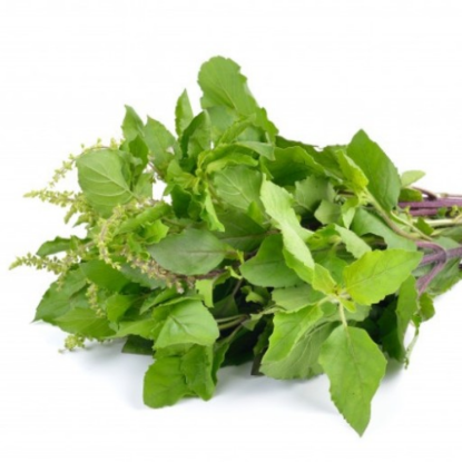 Picture of Thulasi Leaves