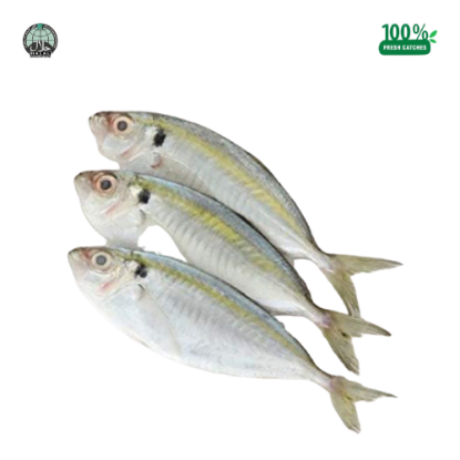 Picture of Fresh Kunning Fish