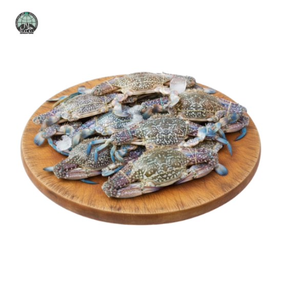 Picture of Fresh Flower Crab