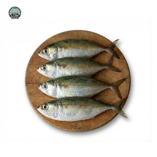 Picture of Batang Fish (Whole)